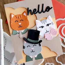 Animals & Pets